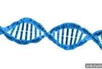 Rare Genetic Mutations Account for Nearly Half of Autism Cases