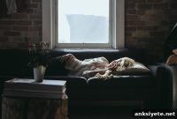 Vitamin B and Dream Vividness: Effects on Lucid Dreams