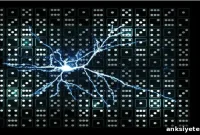 How Single Neurons and Dendrites Distinguish Input Sequences