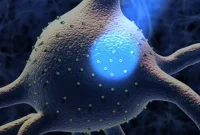 Optogenetics Flips the Fertility Master Switch