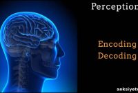 New Theory Explains How the Brain Creates Our Perception