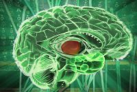 How the Brain Multitasks: The Science of Attention