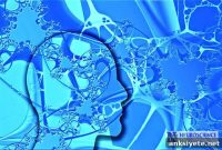 Breakthrough Shines Light on Epilepsy Research