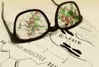 New Brain Serotonin Producing Neuron Subtypes Identified