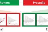 How Tone of Voice Affects Communication