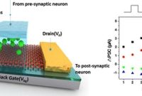 Neuromorphic Chips: Synapse-Inspired Tech for Smarter Electronics