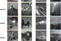 How the Brain Sees the World: Visual Perception Explained
