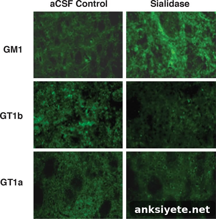 featured 26035