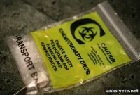 Chemobrain: Chemotherapy’s Cognitive Impact After Breast Cancer