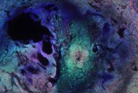 How a Signaling Pathway Suppresses Brain Tumor Growth