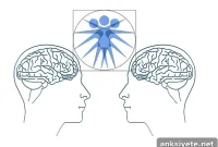 Treatment Changes the Brain in Borderline Personality Disorder