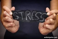Anxiety, Chronic Stress Raise Depression and Alzheimer’s Risk