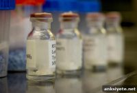 Non-Addictive Painkiller Shows Promise as Morphine Alternative