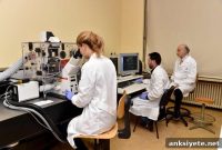 How Electrical Brain Stimulation Improves Memory