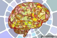 Connectivity Loss Tied to Cognitive Deficits After Brain Injury