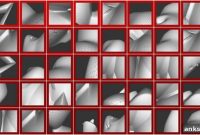 Brain Neurons That Detect Gravity Direction Discovered