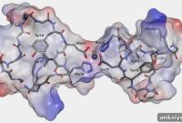 Scientists Identify Potential Alzheimer’s Trigger