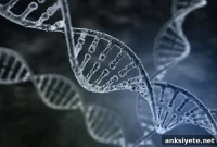 Study Finds Autism Genes Are Widespread in the Population