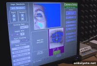 Eye Tracking Techniques for Linguistic Research