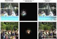 How Much Do We Really See: Visual Perception Explained