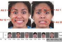 Study Pinpoints Brain Region That Reads Facial Expressions