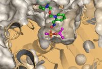 New Antidote for Sarin Nerve Agent Shows Promise