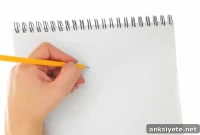 How Handedness Affects Math Performance: New Research