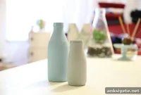 Lactose Intolerance Study Reveals Link to Mental Illness Origins