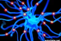 Overlooked Human Senses and Why They Matter