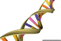 Genetic Variants Raise Soldiers’ PTSD Risk