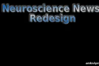 Neuroscience News Redesign: New Look and Features