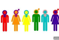 Does Your Brain Have a Sex? What Science Says