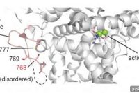 How Copper Fuels Fat Burning and Metabolism