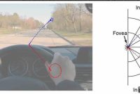 Bifocal Vision: How the Brain Switches Focus
