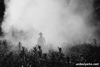 Reducing Parkinson’s Risk from Pesticide Exposure