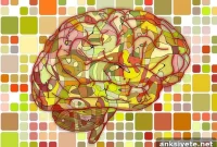 How a New Brain Switch Could Improve Memory