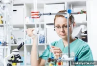 Women in Neuroscience: Can You Have It All?