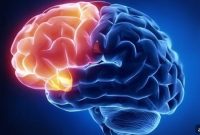 Precise Control of Brain Circuits Alters Mood in Mice