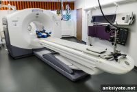 New Study Reveals How Aging Affects Memory
