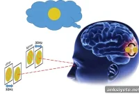 How the Human Visual Cortex Resolves Invisible Conflicts