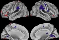 Is Middle-Age Memory Decline Just a Shift in Focus?