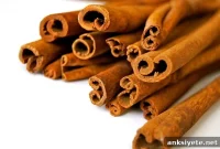 Cinnamon Boosts Learning in Mice, Study Finds