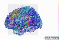 Virtual Brain Model Predicts Seizure Origins in Epilepsy