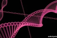 Study: Alcohol-Seeking Rats Reveal Genetic Links to Alcoholism