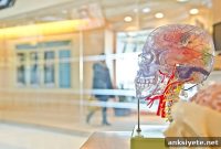 How Super-Agers Keep Their Memories Young