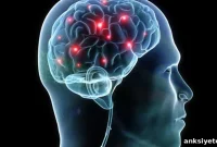 Transcranial Direct Current Stimulation Boosts Brain Glutamate