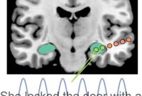 How the Hippocampus Predicts Missing Words in Language