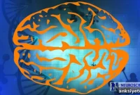 Uncovering Surprising Mechanisms of Memory Formation