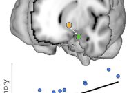 How Teen Brains Learn Differently Than Adults