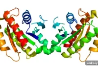 Researchers Discover New Cellular Disruption Driving Parkinson’s